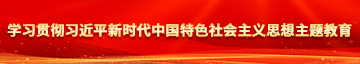 深入骚穴视频学习贯彻习近平新时代中国特色社会主义思想主题教育